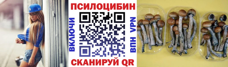 Псилоцибиновые грибы мицелий  ссылка на мегу вход  Бирюсинск 